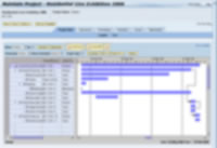 SAP Business ByDesign voorbeeld (vanwege copyright onscherp)